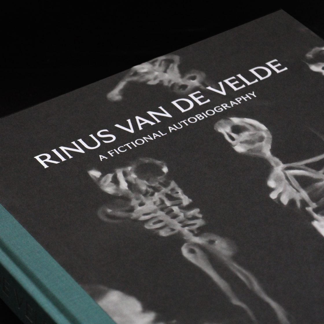 a fictional biography rinus van de velde